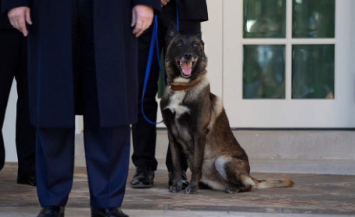 ΗΠΑ: Ο Τραμπ παρασημοφόρησε τον σκύλο Κόναν που καταδίωξε τον Αμπου Μπακρ αλ Μπαγκντάντι