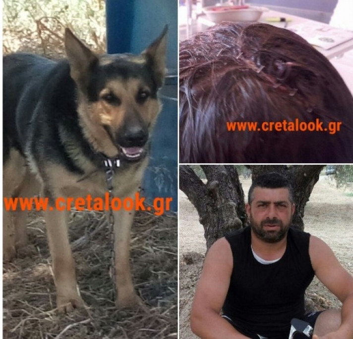 VIDEO: Αληθινές φωτογραφίες από τη νέα επίθεση σκύλου σε 6χρονο στο Ηράκλειο - Τι λέει ο πατέρας!