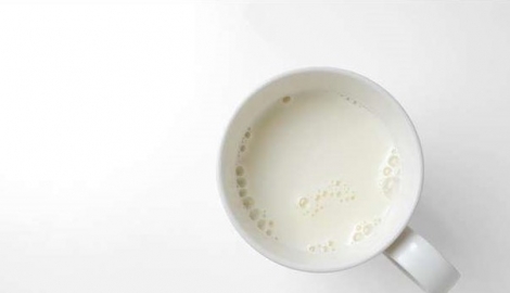 Γάλα… κατσαρίδας: είναι το επόμενο superfood;