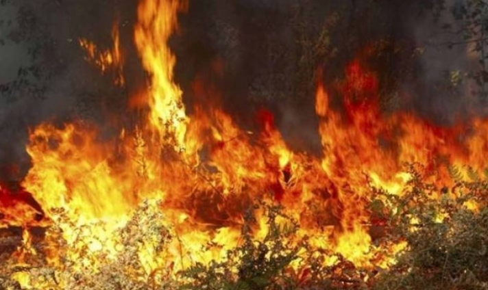 ΤΩΡΑ: Φωτιά στο Λουτράκι