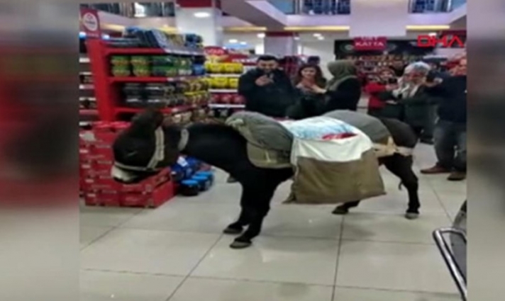 Απίστευτοι Τούρκοι: Πάνε με γαϊδούρια και καρότσια στα σούπερ μάρκετ για να μην πληρώσουν για τις πλαστικές σακούλες