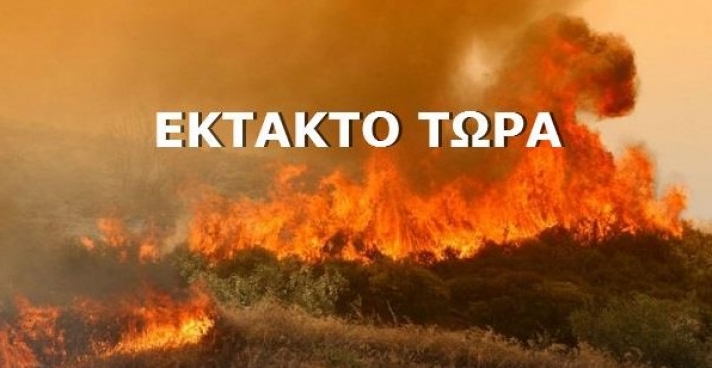 Μέτωπα φωτιάς μαίνονται σε ολόκληρη την Κρήτη