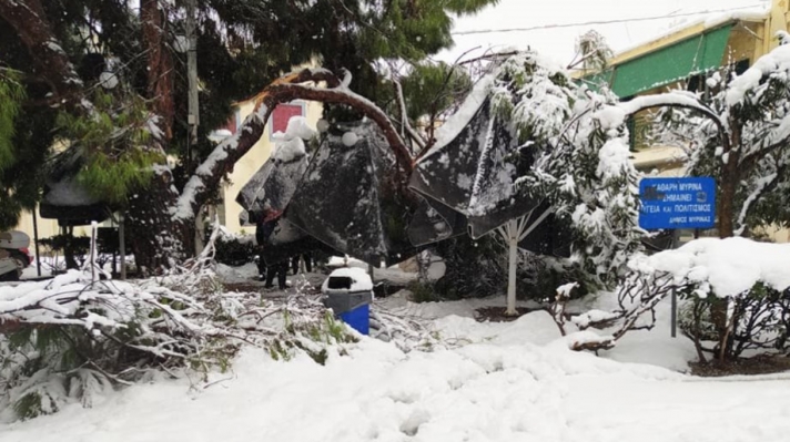 Εγκλωβισμοί και πτώσεις δέντρων από τον χιονιά στη Λήμνο