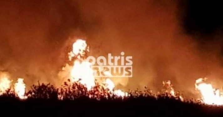 Ολονύχτια μάχη με τις φλόγες στην Ηλεία
