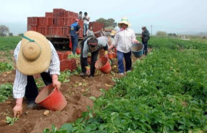 ΝΕΟ ΣΟΚ !!! Στήνουν στον «τοίχο» αγρότες-συνταξιούχους με διπλό εισόδημα