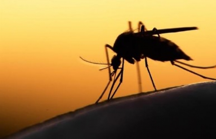 Τι να κάνετε για να μη σας πλησιάζουν τα κουνούπια