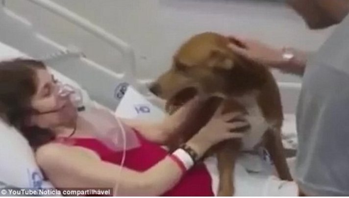 Άρρωστη μητέρα ζητά να δει για τελευταία φορά τον αγαπημένο της σκύλο