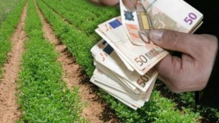 Γλιτώνουν το πρόστιμο στις τροποποιητικές δηλώσεις για τις επιδοτήσεις οι αγρότες