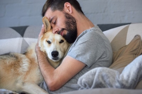 5 τρόποι να πείτε στον σκύλο σας «Σ’αγαπώ» στη γλώσσα του
