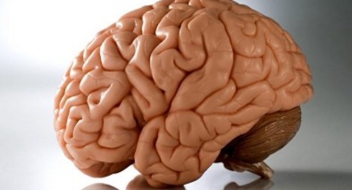 Πώς σχηματίζονται οι μνήμες στον εγκέφαλο; Νέα ανακάλυψη ανατρέπει όλα όσα ξέραμε!