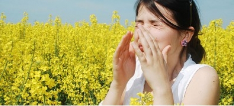“ Δράση ενημέρωσης του κοινού για την αλλεργική ρινίτιδα ”