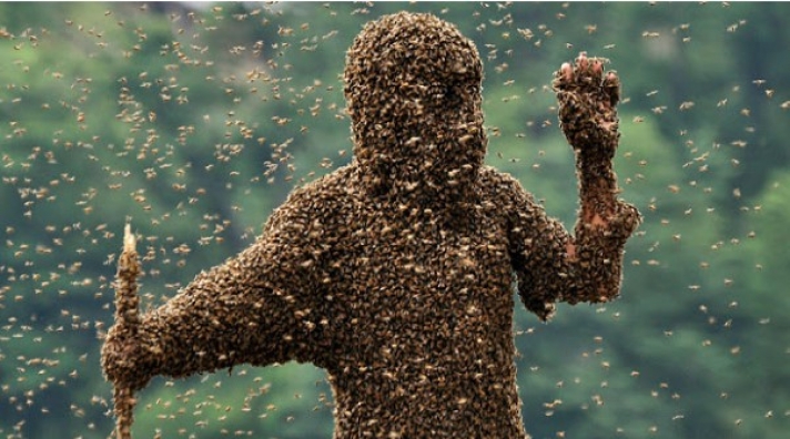 «΄Ερχεται το τέλος της μέλισσας και του μελιού», φοβούνται οι μελισσοκόμοι της Ελλάδας