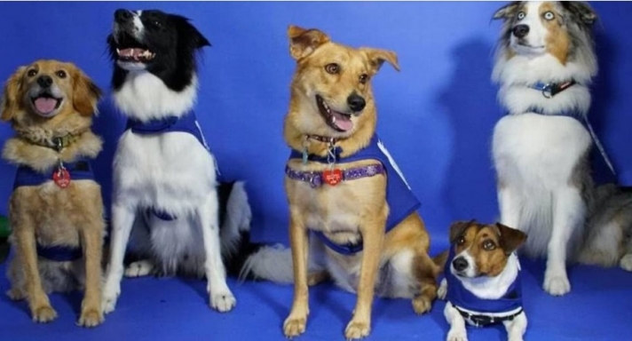 ΗΠΑ: Εκπαιδευμένοι σκύλοι χαλαρώνουν τους αγχωμένους ταξιδιώτες στο αεροδρόμιο του Μαϊάμι