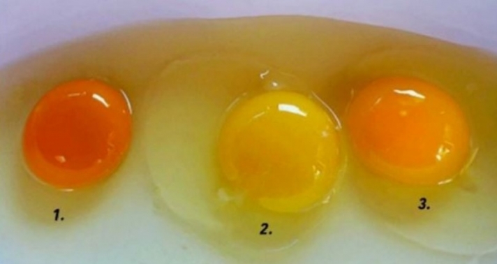 Κρόκος Αυγού: Ποιος Από Αυτούς Σας Φαίνεται Πιο Υγιεινός; - Το Χρώμα Που έχει...
