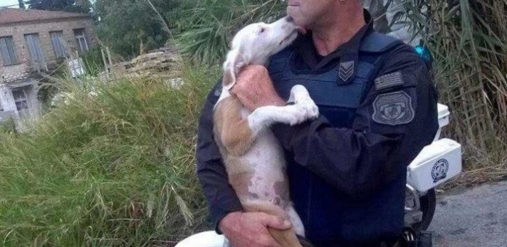 Αστυνομικός διασώζει σκύλο από την Εθνική Οδό και τον υιοθετεί (εικόνες)