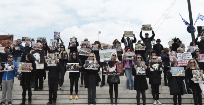 Να σταματήσει το σούβλισμα του αρνιού: Συγκέντρωση vegan στην πλατεία Συντάγματος