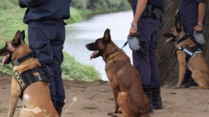 Γερμανοί αστυνομικοί για περιπολίες στα ελληνικά σύνορα!