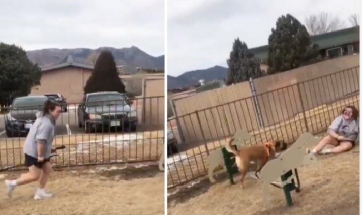Ηθελε να εκπαιδεύσει τον σκύλο της πηδάει εμπόδια! Η κατάληξη δεν ήταν αυτή που περίμενε (video)