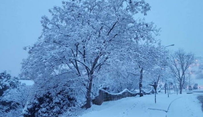 Στα «λευκά» η χώρα – Έπεσαν τα πρώτα χιόνια στην Πάρνηθα