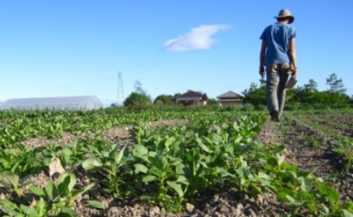 ΔΕΙΤΕ - Τι αλλάζει στo Πρόγραμμα Αγροτικής Ανάπτυξης