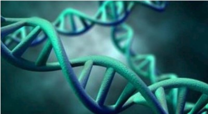 Ανακαλύφθηκε γονιδιακή μετάλλαξη που χαρίζει έως δέκα παραπάνω χρόνια ζωής αλλά μόνο στους άνδρες