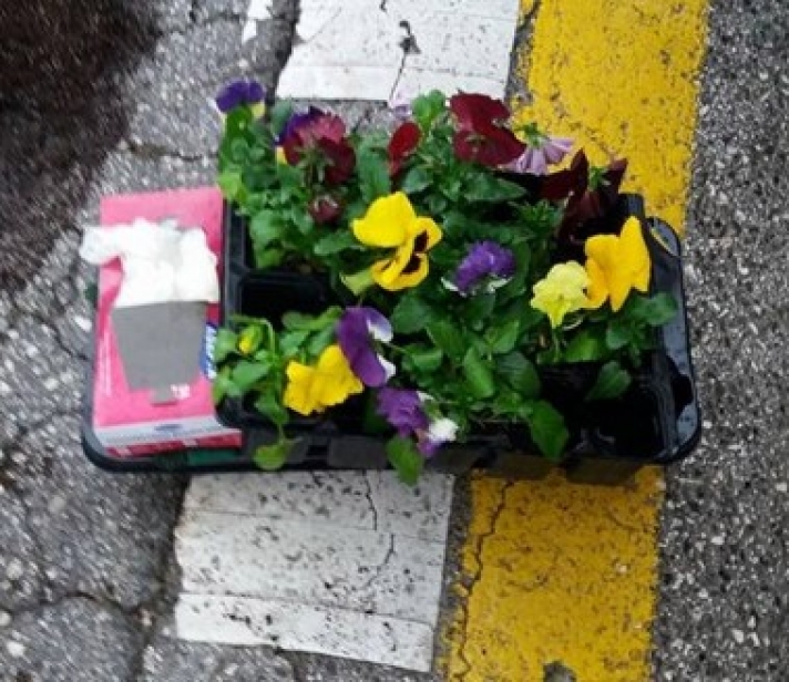 ΕΛΛΑΔΑΡΑ ΡΕ !!!Κάτοικοι φύτεψαν λουλούδια για να «κλείσουν» τις λακούβες στους δρόμους