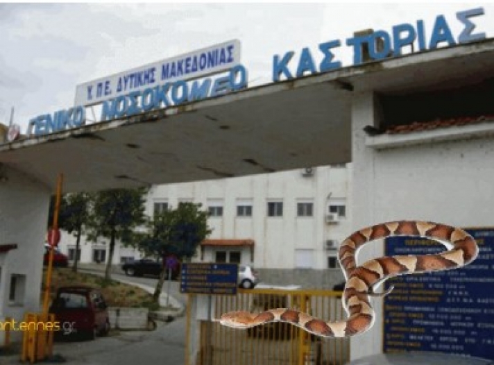 Φίδι αναστάτωσε την Παιδιατρική Κλινική του Νοσοκομείου Καστοριάς