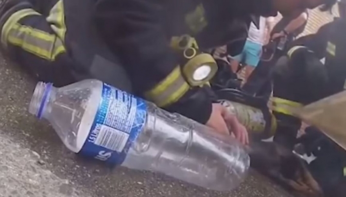 Συγκλονιστικό βίντεο: Πυροσβέστης σώζει σκύλο από φλεγόμενο κτίριο στην Ισπανία