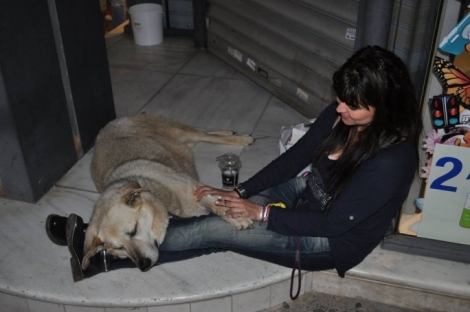 Στη Γειτονιά των Αγγέλων ταξίδεψε ο 16χρονος Αρκούδος, ο πιο αγαπητός αδέσποτος σκύλος της Νέας Σμύρνης