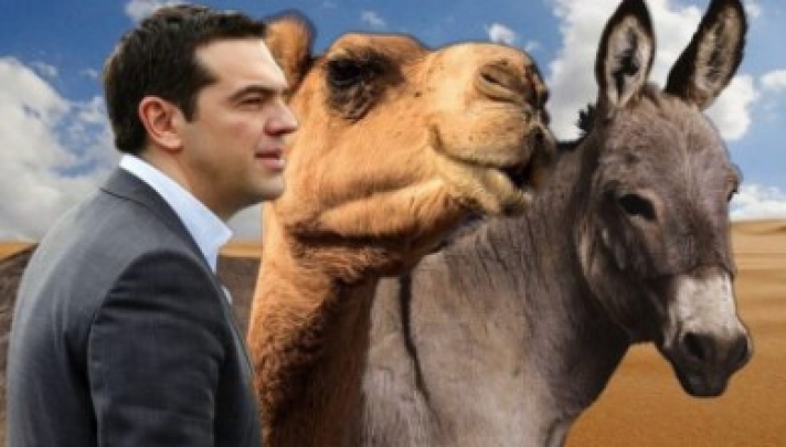 ΧΑΜΟΣ με τον Αλέξη, τη καμήλα και το ... τρολάρισμα