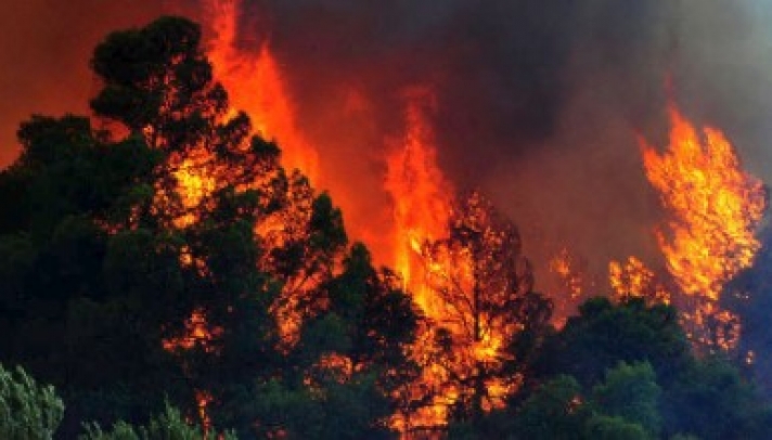 Μαίνεται η πυρκαγιά στο Κρυονέρι Αττικής