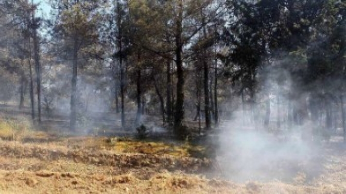Υψηλός κίνδυνος πρόκλησης πυρκαγιάς, προειδοποιεί η Γ.Γ. Πολιτικής Προστασίας