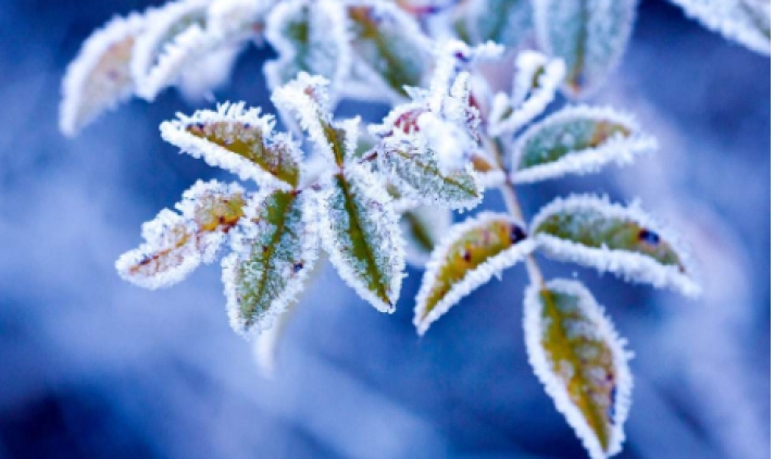 Καιρός: Ψυχρό «κύμα» από την Παρασκευή - Πού αναμένονται χιονοπτώσεις