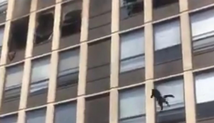 Γάτα πηδάει από τον 5ο όροφο κτιρίου που έχει πιάσει φωτιά και η προσγείωσή της ενθουσιάζει