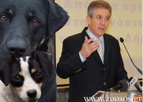 Δήμαρχος Σερρών: Οι φιλόζωοι ας πάρουν τα αδέσποτα σκυλιά στα σπίτια τους