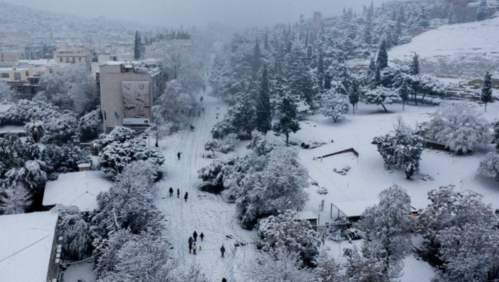 Meteo-«Μήδεια»: Το «βαρύ χιόνι» τσάκισε τα δένδρα στην Αττική