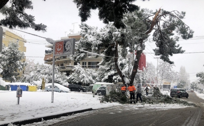 Black-out εν μέσω χιονιά έχει προκαλέσει η γραφειοκρατία των… δέντρων